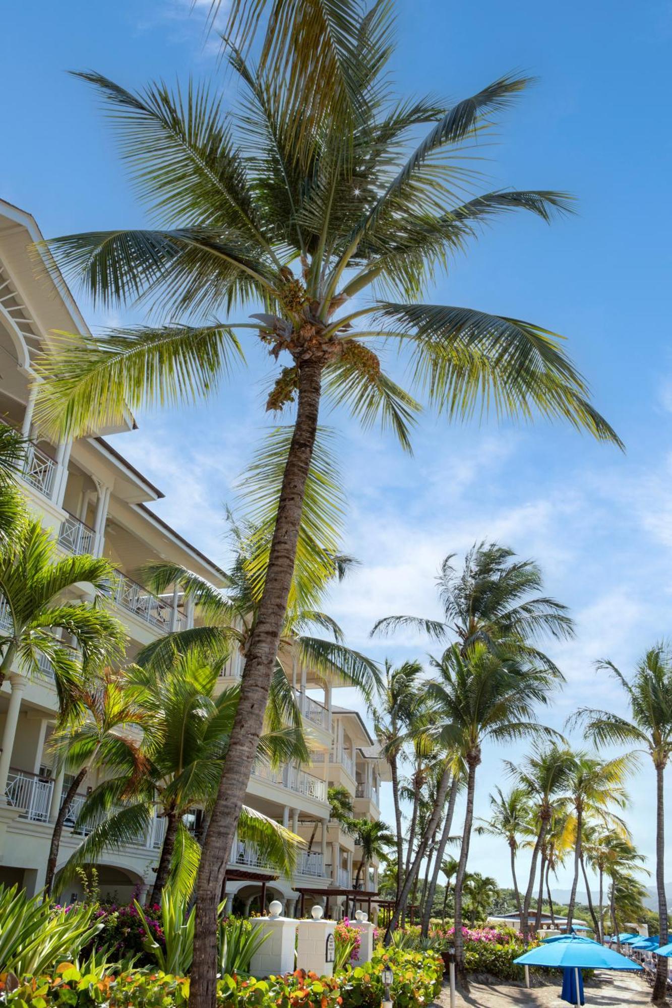The Landings Resort And Spa - All Suites Gros Islet Eksteriør bilde